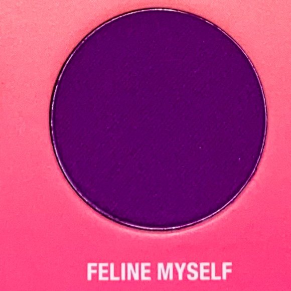 BRETMAN ROCK x WET N WILD Jungle Rock Palette - Picture 12 of 13